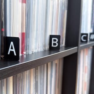 Può includere: Una mensola in legno scuro piena di dischi in vinile in custodie protettive. Divisori neri con lettere bianche A, B e C# sono posizionati davanti ai dischi, organizzandoli alfabeticamente. La mensola è di colore marrone scuro.