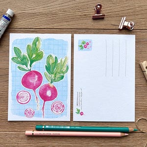 Cartolina "Ravanello", DIN A6, biglietto d'auguri, regalo, primavera, amore per il giardino, cartolina illustrata, illustrazione ad acquerello
