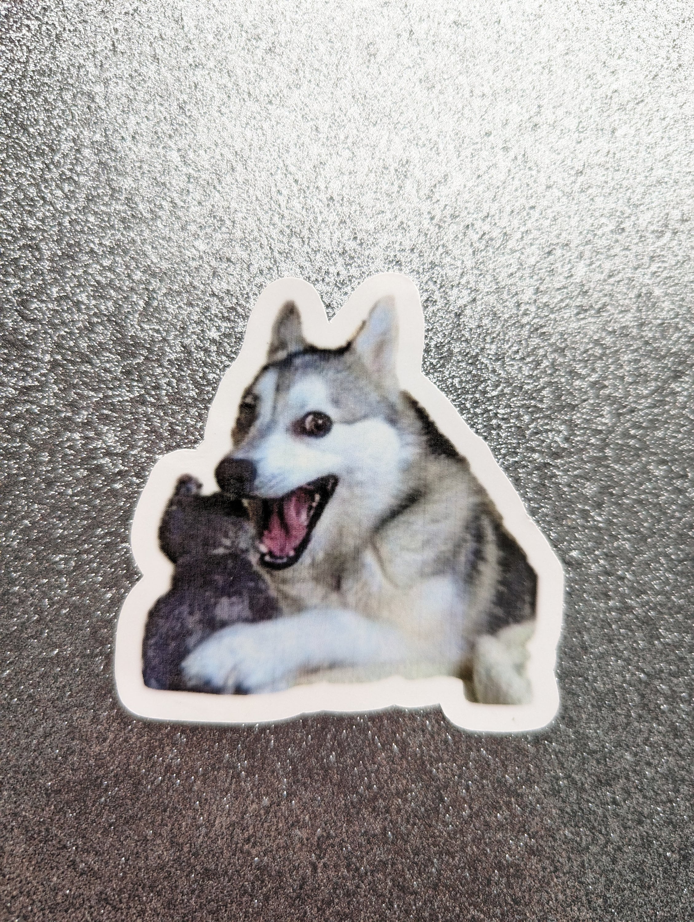 Pun Dog Husky
