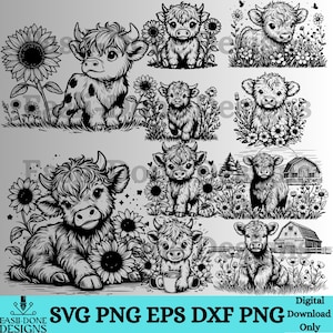 May include: A collection of black and white digital illustrations featuring Highland cows, set amongst sunflowers and other floral elements. The cows are depicted in different positions. The image includes the text "SVG PNG EPS DXF PNG" and "Digital Download Only."