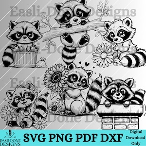 Raccoon SVG PNG pdf and dxf Files Instant Download cute kawaii Baby Raccoon outline clipart cutter and laser cut file Floral Raccoon svg