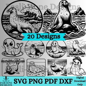 Op de afbeelding: Een set van 20 zwart-wit digitale ontwerpen met verschillende zeehondensilhouetten. De ontwerpen omvatten zeehonden die zwemmen, liggen en op rotsen staan. De tekst "20 Designs" wordt weergegeven in een blauwe banner.