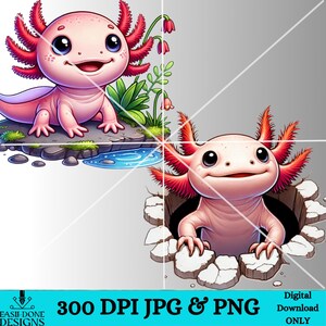 May include: Two digital illustrations of a pink axolotl with red gills. One axolotl is standing on a rock with green plants and a blue puddle of water. The other axolotl is peeking out of a cracked hole in the ground.