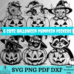 pumpkin Peeking Halloween Farm Animals outline Digital File Bundle SVG PNG pdf dxf Files laser and cut Vector clip art Halloween sublimation