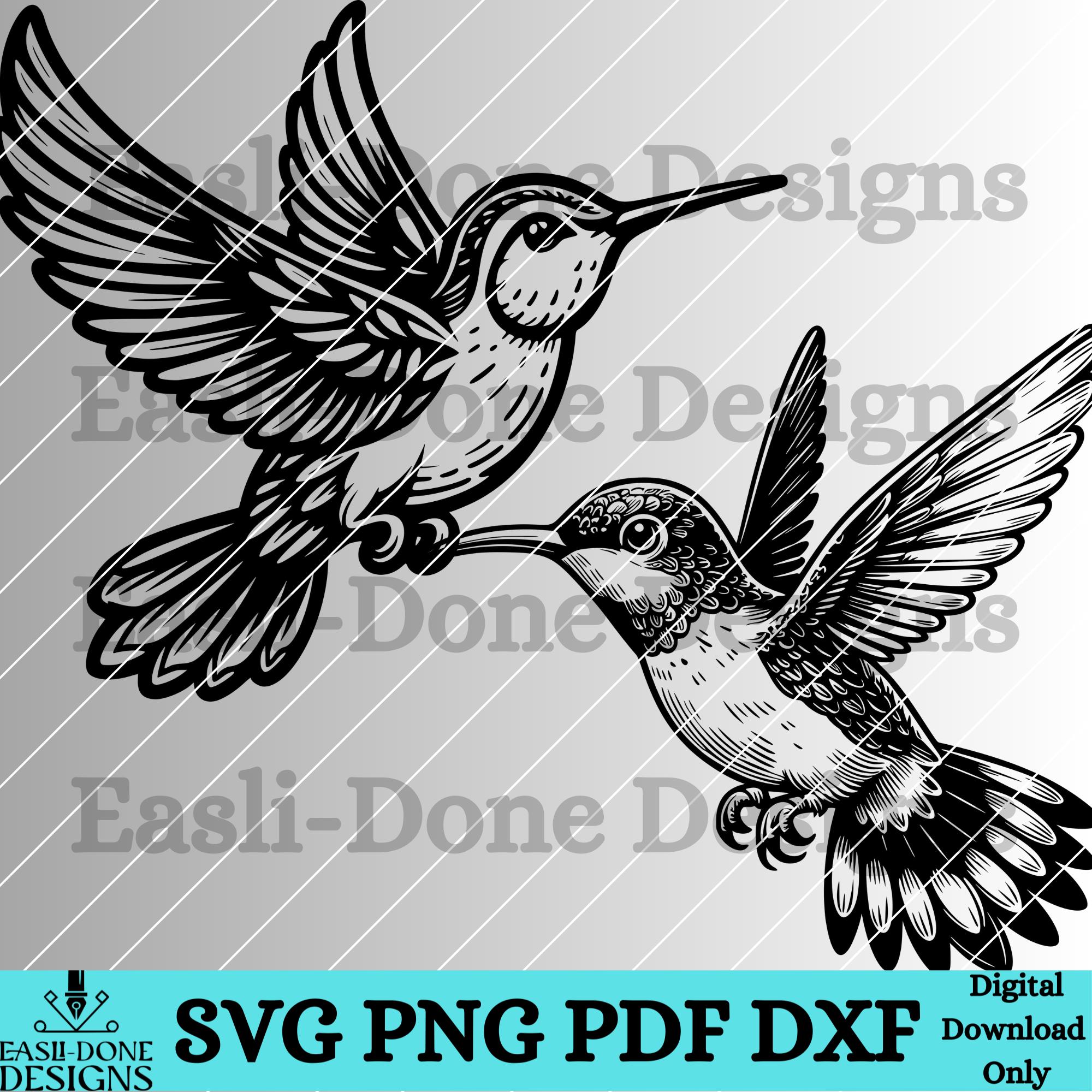 Hummingbird Outline Bundle SVG PNG Pdf and Dxf Files Instant Download ...