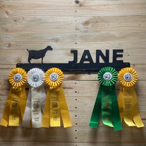 Award Ribbon Holder, Award Ribbon Holder, Award Display Rack, Wall Decor, Metal Signage