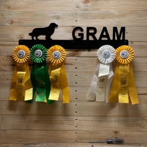 Award Ribbon Holder, Award Display Rack, Wall Decor, Metal Signage