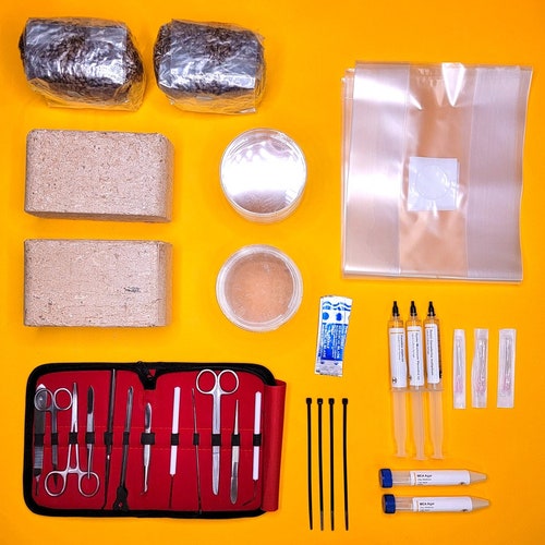 Mycology 101 Kit: Grow Mushrooms Easily with Free Classes shops