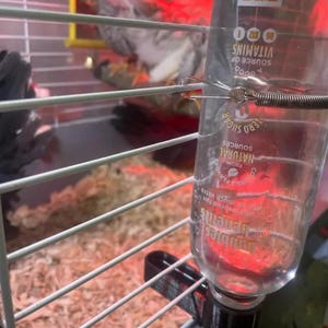 Water feeder adapter! Designed for chickens and smaller animals!