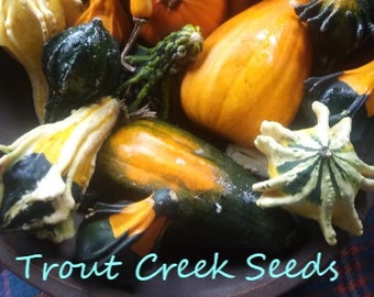 100 Heirloom Mixed Gourd Seeds, NON GMO , open pollinated, organic Trout Creek Seeds