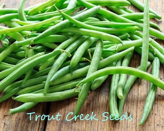 30 Heirloom Jade Bush Green Bean Seeds, non gmo, open pollinated,  garden seed, Trout Creek Seeds