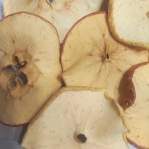 20 Dried Apple Slices,  rustic craft, boho and farmhouse decor, hot cider