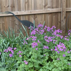以下が含まれることがあります： 鮮やかな紫色の花と緑豊かな葉が特徴の庭。背景には、木製のフェンスに飾られた金属製のサギの彫刻があり、自然な環境に芸術的なタッチを加えています。