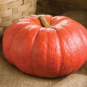 May include: A large, round, orange pumpkin with a textured surface and a light brown stem. The pumpkin is sitting on a burlap surface, with a woven basket in the background. The pumpkin is a vibrant color, and the stem is a natural, earthy tone.