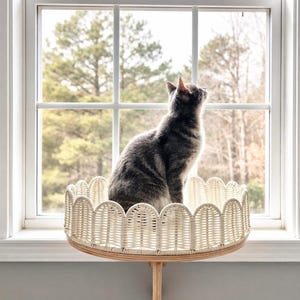 Round Scalloped Rattan-Style Cat Window Perch, Durable Chew-Resistant Seat