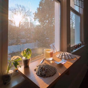 Oak Window Plant Shelf, Various shelf sizes, Easy Install, No Tools image 13