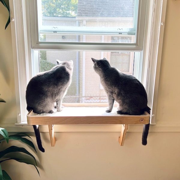 Cat Window Perch, Sturdy Support Legs, Holds Two Cats, Easy Install