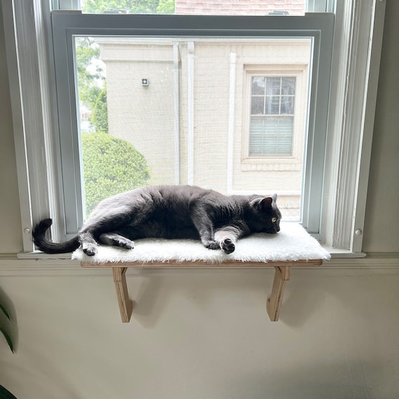 03 Cat Window Perch Cat Window Shelf Cat Window Seat Cat Etsy