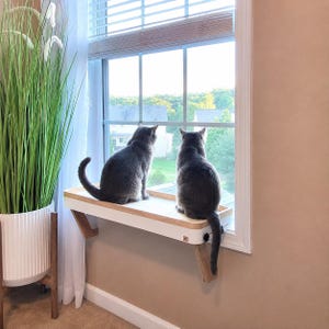 May include: Two grey cats sitting on a rectangular white and light wood window perch attached to a window frame. The perch features two wooden support brackets and black adjustment knobs. A tall green plant in a white ribbed pot stands nearby.
