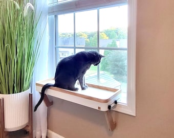 Colorful Cat Window Perch, No Tools, Sturdy Legs, Easy 1-Minute Install