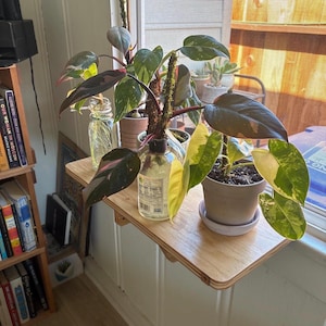 Oak Window Plant Shelf, Various shelf sizes, Easy Install, No Tools image 15