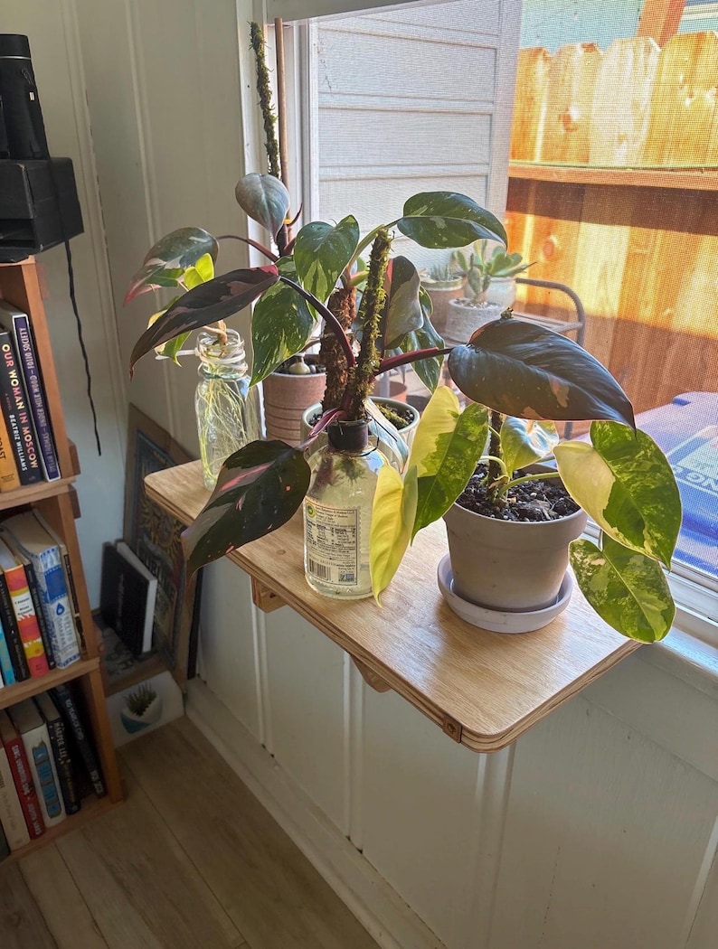 Oak Window Plant Shelf, Various shelf sizes, Easy Install, No Tools image 15