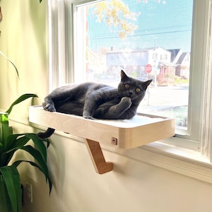 23&quot;x10&quot; Cat Window Perch_Sturdy-Safe support leg_Installed-removed 1 minute_No tools No nails_Cat Window Shelf_Window Cat Bed_Cat Lover Gift