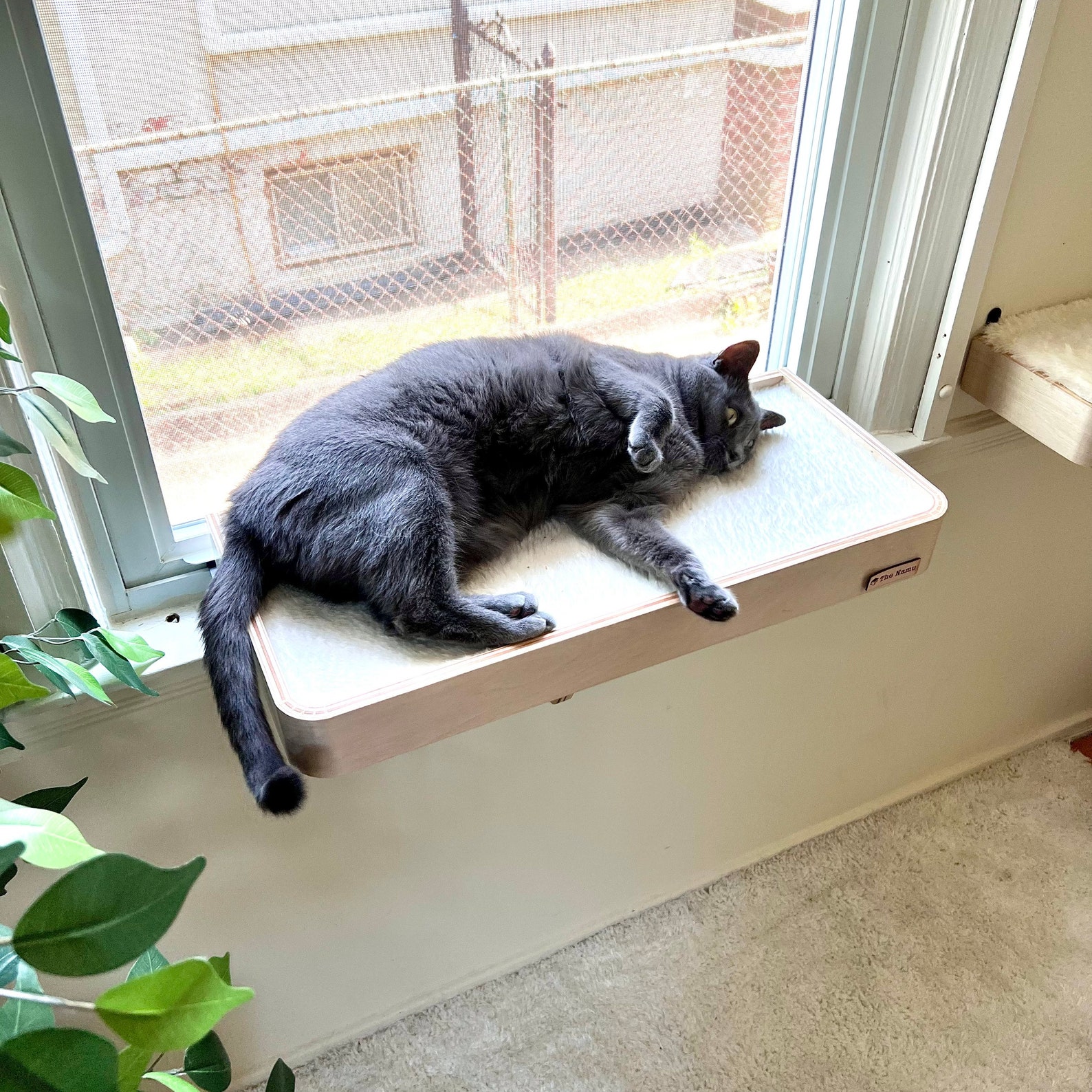 01 Cat Window Perch Cat Window Shelf Cat Window Seat Etsy