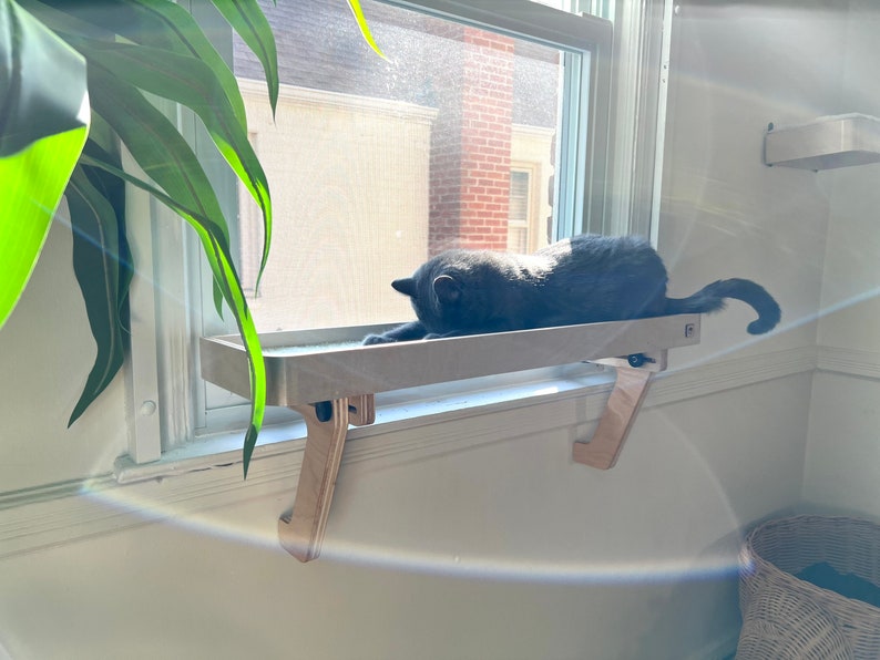 06 NEW Cat Window Perchlonger Cat Window Shelf Cat Etsy