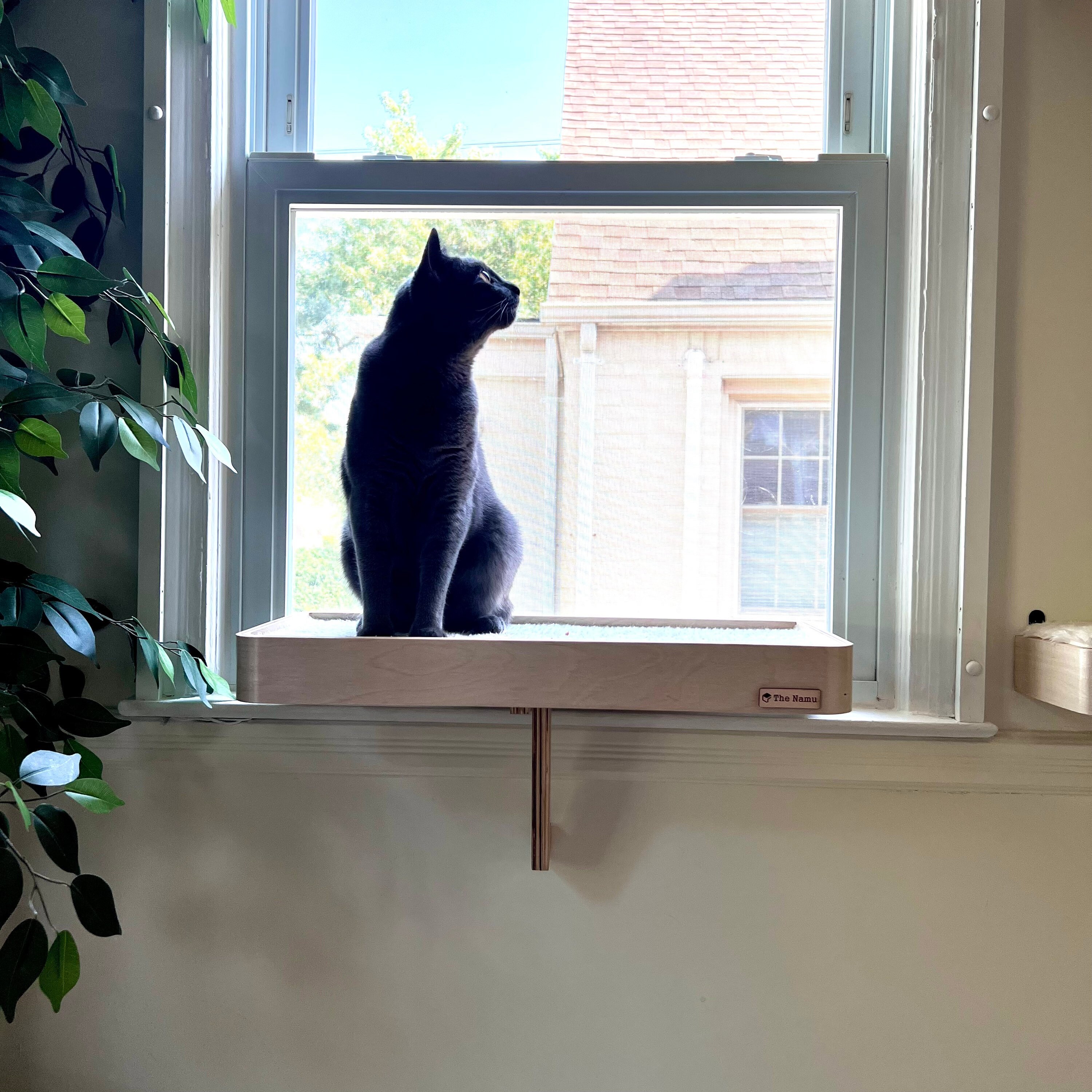 01 Cat Window Perch Cat Window Shelf Cat Window Seat Etsy UK