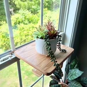 May include: A wooden window shelf with a white ceramic planter holding a variety of succulents. The shelf is mounted on the window frame and has a natural wood finish.
