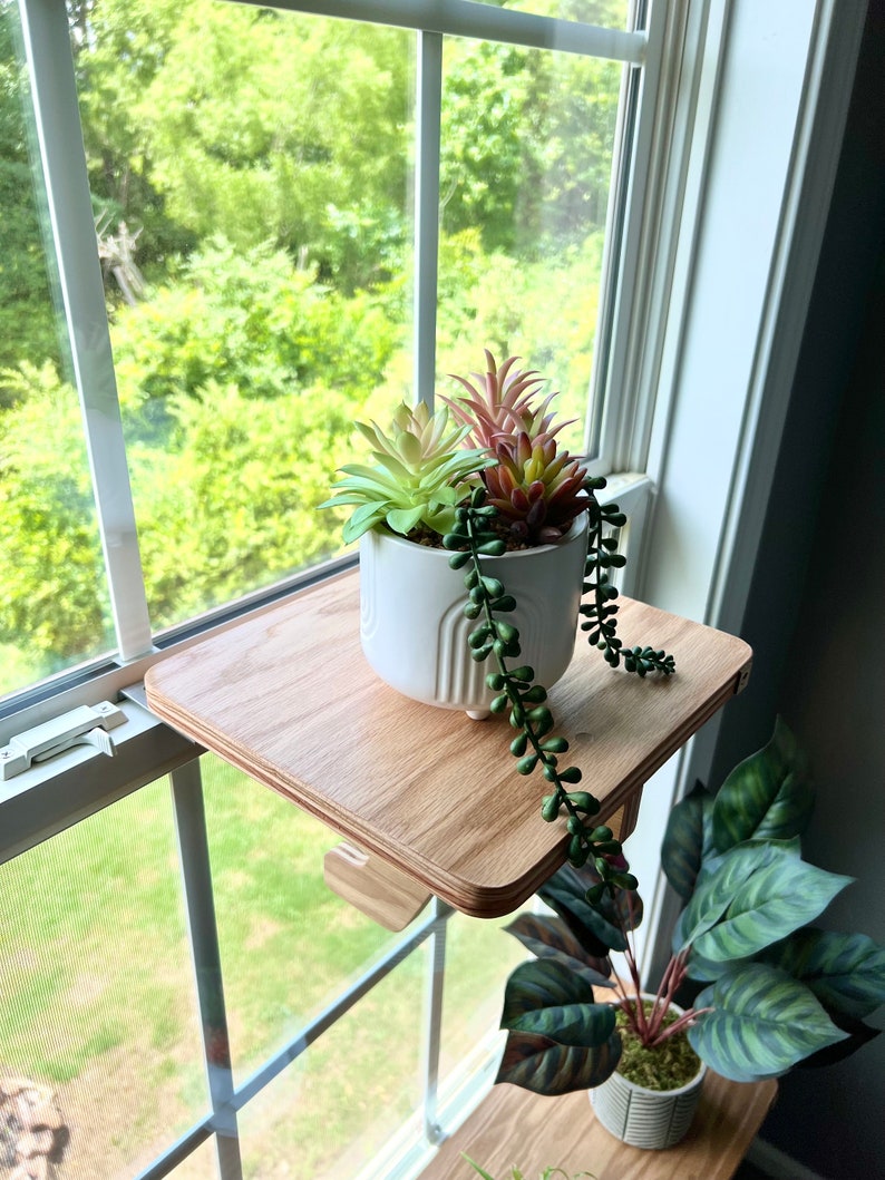 May include: A wooden window shelf with a white ceramic planter holding a variety of succulents. The shelf is mounted on the window frame and has a natural wood finish.