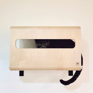 Wall Hidden Box _ Hide Out for Cats _ Cat Shelf _ Cat Hammock _ Cat Perch _ Cat House _ Wall Cat Bed