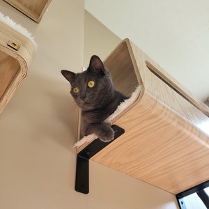 Wall Hidden Box Hide Out for Cats Cat Shelf Cat Hammock Cat Perch Cat House Wall Cat Bed Etsy