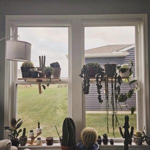 For the middle of the window, Oak Window Plant Shelf, Indoor Herb Garden, Easy Install image 13