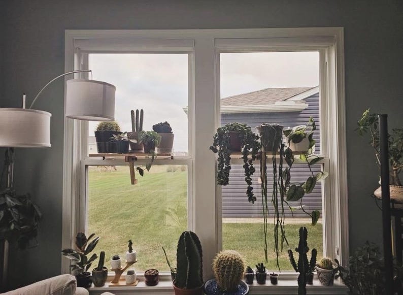 For the middle of the window, Oak Window Plant Shelf, Indoor Herb Garden, Easy Install image 13