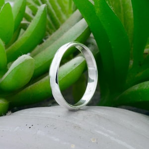 May include: A polished silver ring with a rounded band. The ring is set against a blurred background of green succulent plants and a light grey surface. The ring's smooth, reflective surface catches the light.