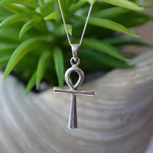 Könnte beinhalten: Eine silberfarbene Ankh-Anhänger-Halskette. Das Ankh-Symbol, ein Kreuz mit einer Schlaufe oben, hängt an einer filigranen Kette. Der Anhänger wird vor dem Hintergrund von grünem Laub und einem weißen Topf gezeigt.