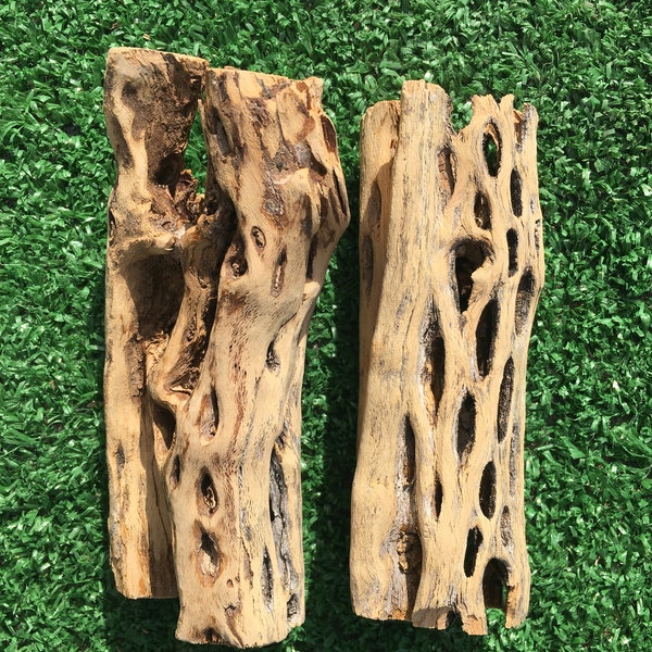 2 pieces of Cholla wood 5 and 5.5 Inch for your aquarium fish, shrimp and reptiles