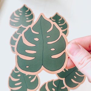 Monstera Leaf - Plant Sticker - Waterproof Sticker - Gifts for Her - Plants