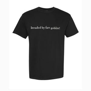 May include: Black t-shirt with the white text "Invaded by fart goblin!" centered on the front. The shirt has short sleeves and a crew neck. The fabric appears to be a soft cotton blend.