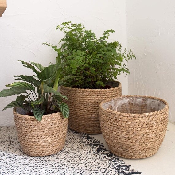 Set of 6 Seagrass Planter Basket Hand Woven Plant Flower Pots Cover with  Plastic Liners Seagrass Plant Pot Basket Rustic Farmhouse Plant Pot