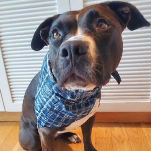 RESCUE DOG FUNDRAISER. 100% of proceeds go Outta the Cage dog rescue. Cute dog bandana, made from vintage Guatemalan fabric. Size M-Xl