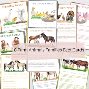 Famiglie di animali da fattoria Carte Montessori, Carte Flash fattoria, Carte informative, Materiale didattico, Flashcard stampabili