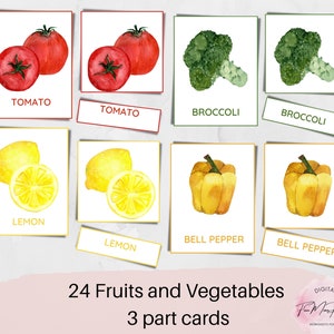 Fruits and Vegetables 3 part Flashcards. Watercolor cards for toddlers. Farm Fruits and Vegetables Montessori Cards, Printable Cards