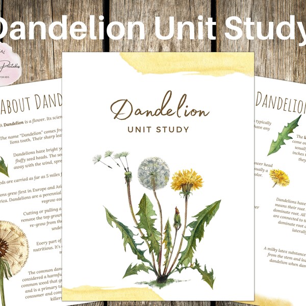 DANDELION Unit Study, Life Cycle, Anatomy, Nature Study, Science,  Handwriting, Homeschool, Montessori, INSTANT DOWNLOAD