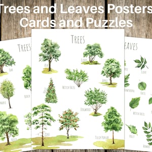 ÁRBOLES y HOJAS VERDES, Mini Pósters + tarjetas + rompecabezas, Estudio de la naturaleza, Tarjetas de 3 partes, Reconocimiento de árboles y hojas, descarga instantánea