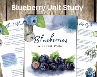 BLUEBERRY Unit Study, Life Cycle, Anatomy, Nature Study, Science,  Handwriting, Homeschool, Montessori, INSTANT DOWNLOAD