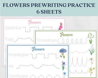 Flowers Words and Line Tracing Worksheets | Flower recognition | Fine Motor Activities | INSTANT DOWNLOAD