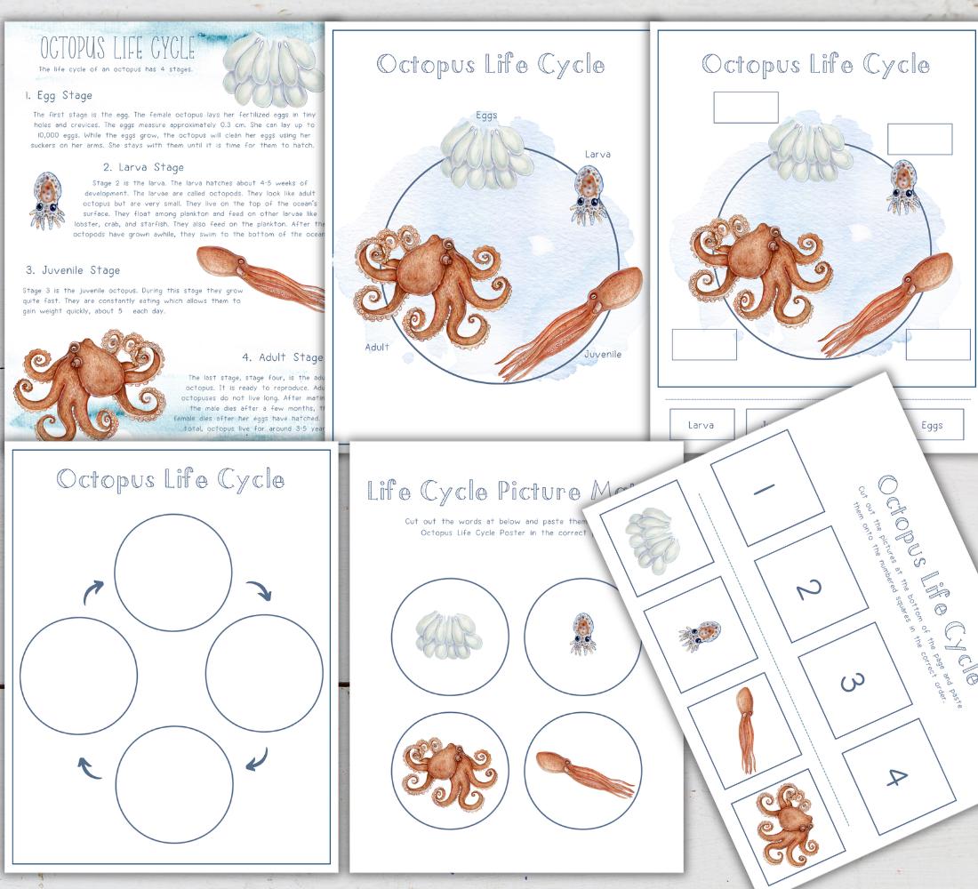 Science Lesson Octopuses OCTOPUS Unit Study, Life Cycle, Anatomy, Activity Pack, Instant ...